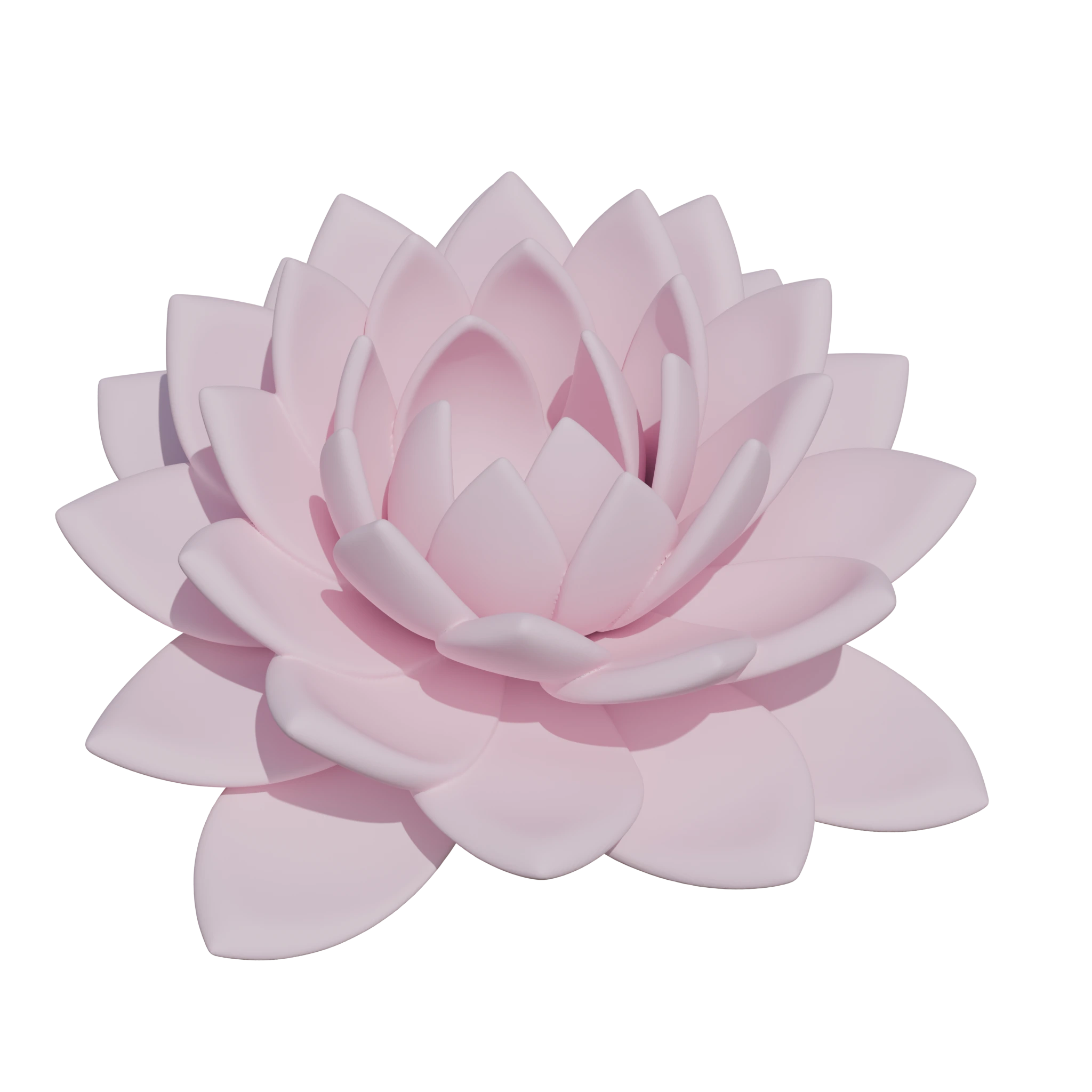 Lotus result from SymTRELLIS